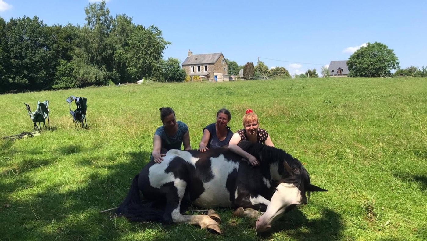 A guest sharing a quiet moment with Arlo, one of the herd
