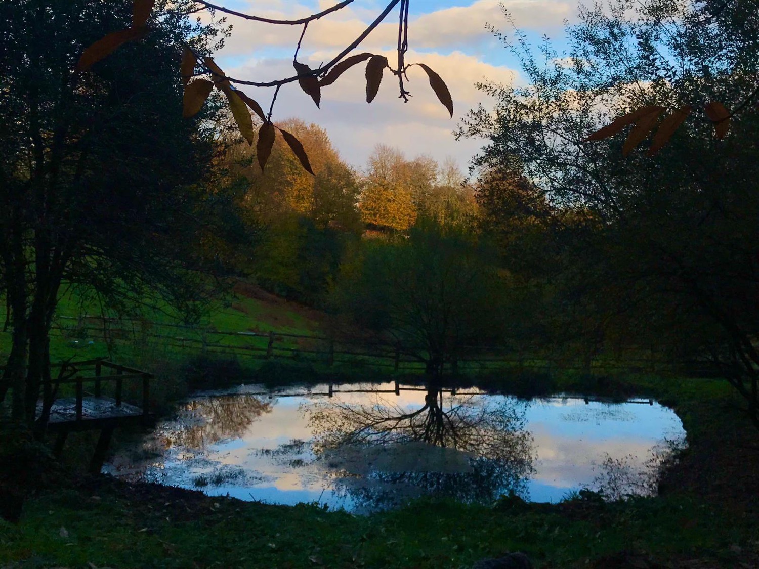 A seasonal view of the land