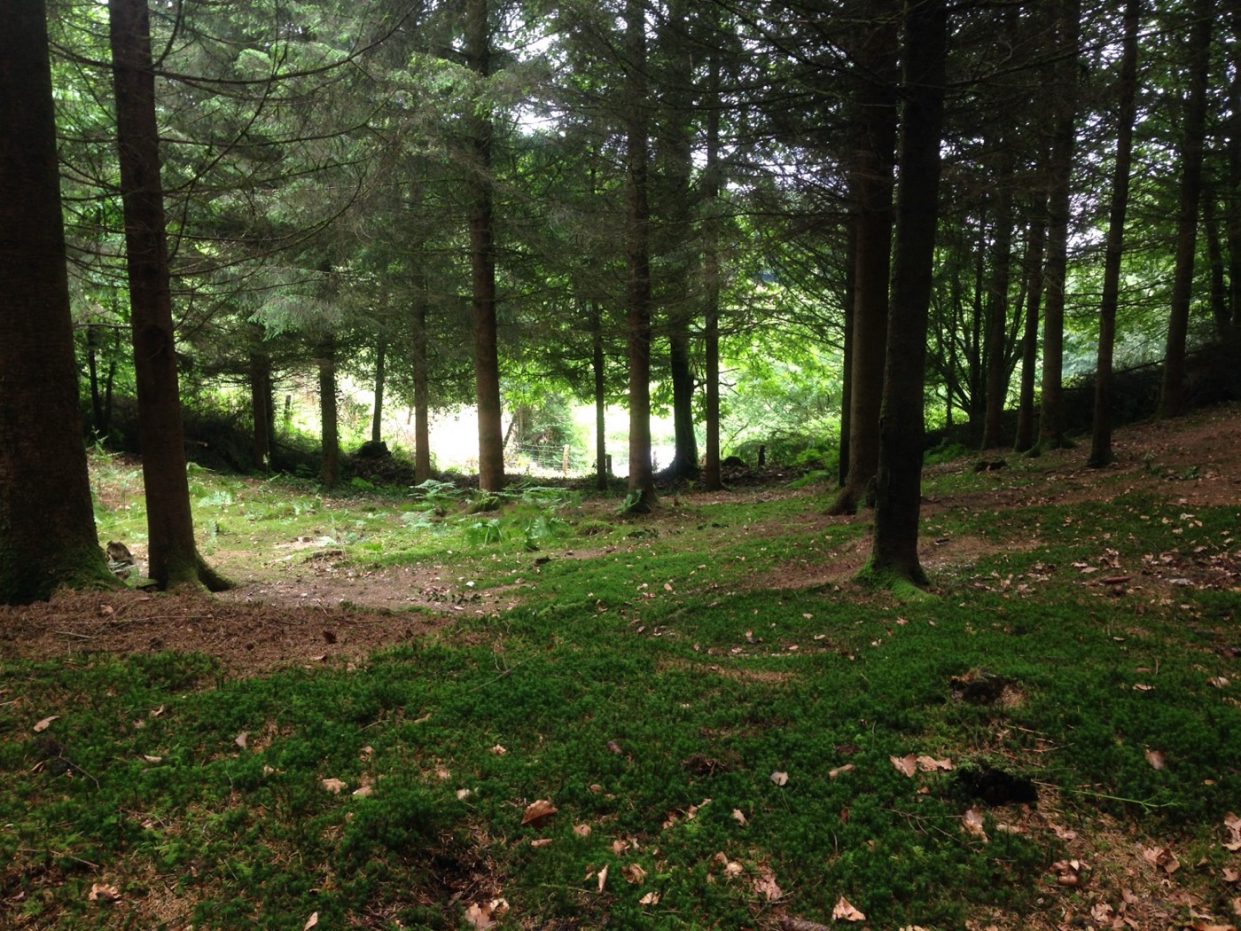A wide view across the La Volée smallholding