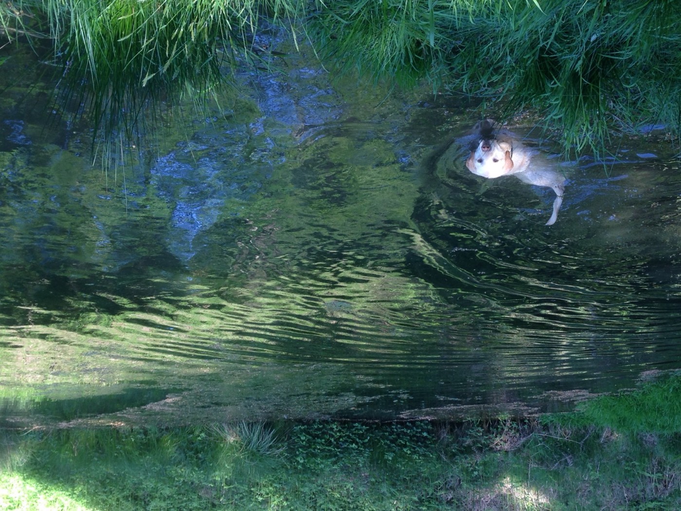 A quiet corner of the land