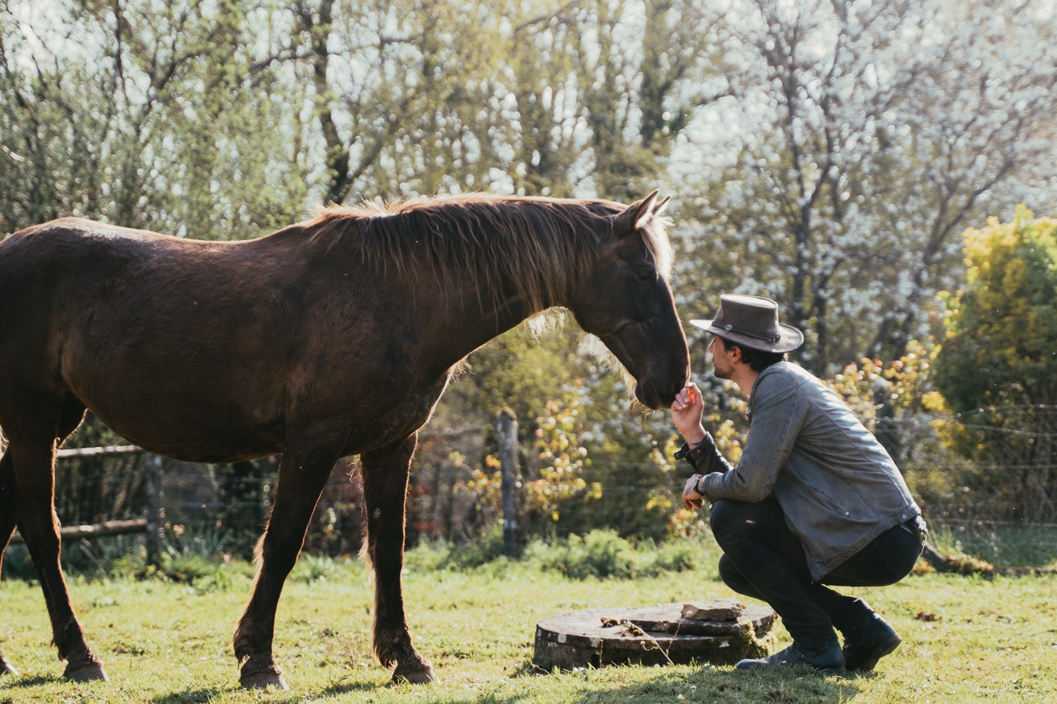A moment on the farm